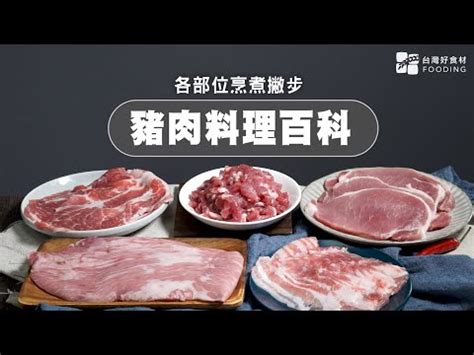 上肉是什麼